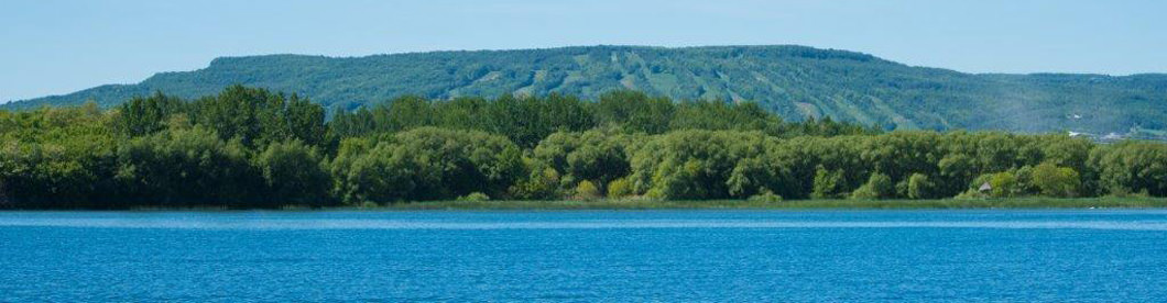 113 Clement Lane, Blue Mountains, Ontario N0H 1J0 (29404494)